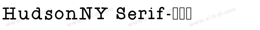 HudsonNY Serif字体转换